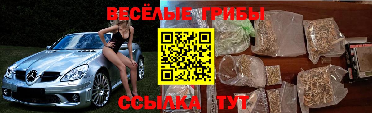 Галлюциногенные грибы прущие грибы Лысьва